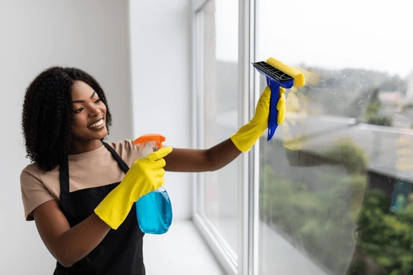Standard Cleaning
